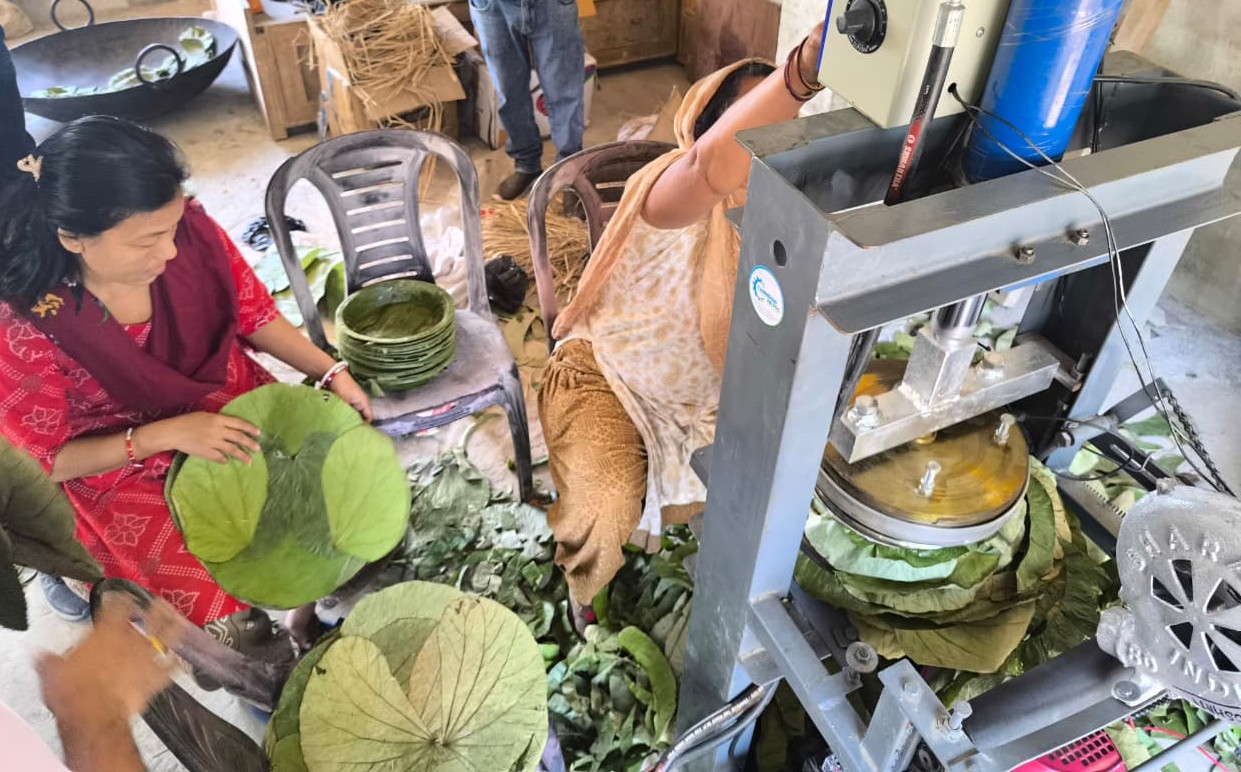 From Leaves to Livelihoods: Three Women, Up to 20,000 Plates a Month